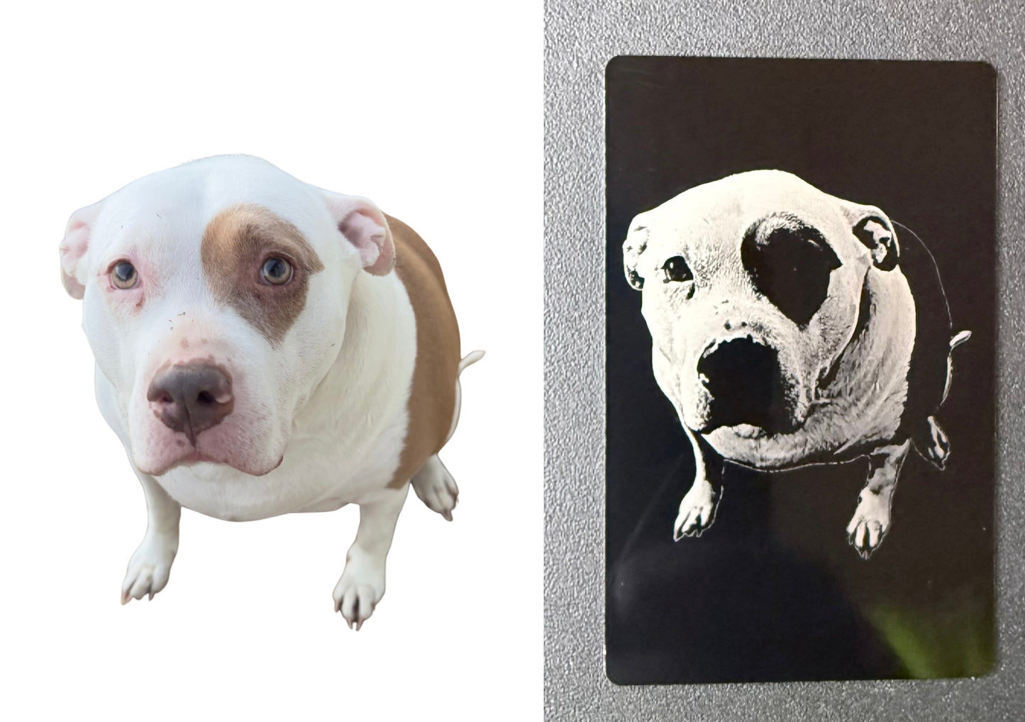 Everlasting Photo Cards