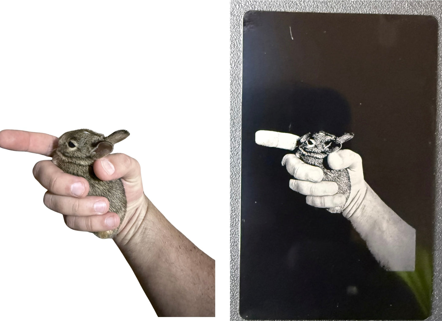 Everlasting Photo Cards