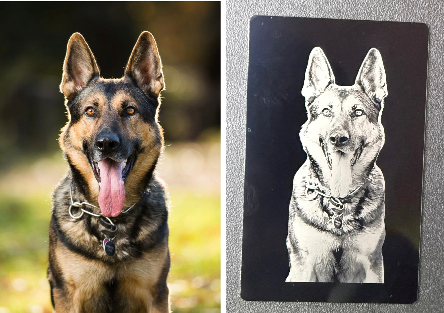 Everlasting Photo Cards